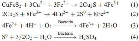 afcacf02db350f22a8336c50352b6851_1762316722_1004.png afcacf02db350f22a8336c50352b6851_1762316722_1004.png